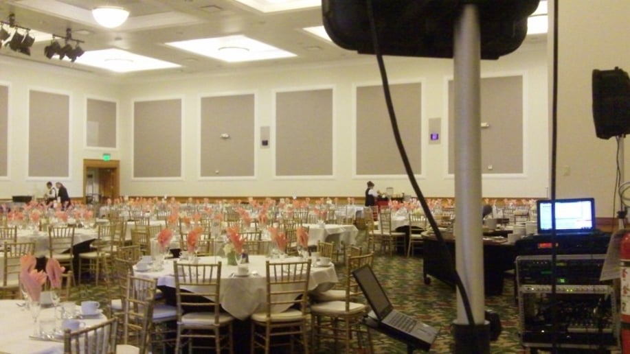 Gallery photo 6 of Gony B