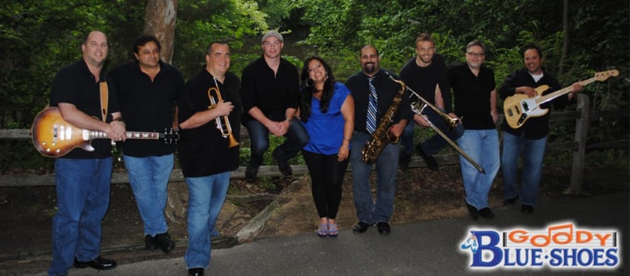 Gallery photo 2 of Goody Blue Shoes Party Band