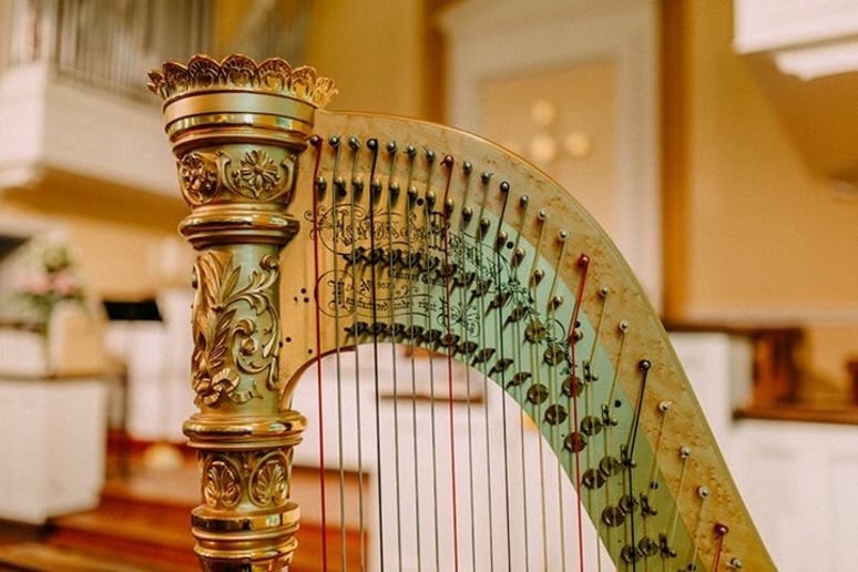 Gallery photo 4 of Grace Neal Harpist
