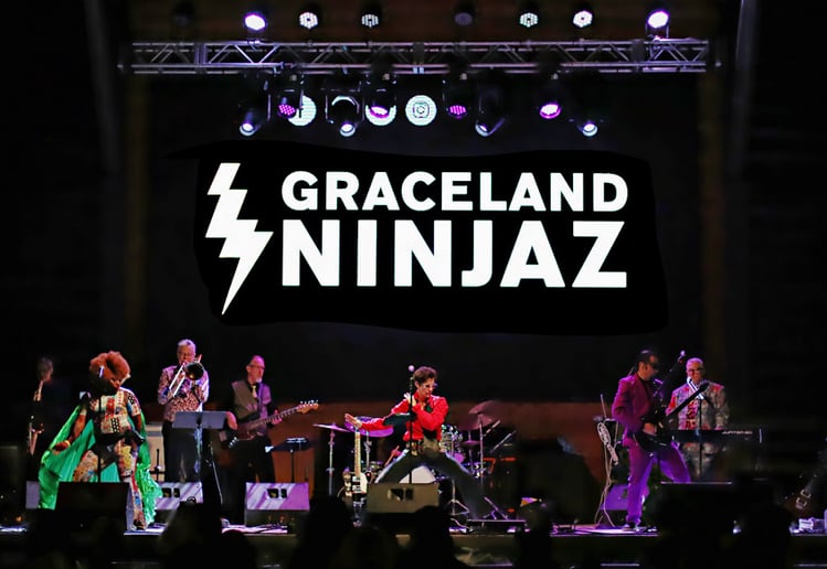 Gallery photo 2 of Graceland Ninjaz