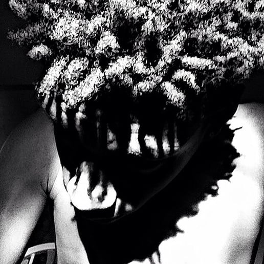 Gallery photo 2 of G.R.A.C.E.LAND (rapper)