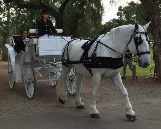 Gallery photo 35 of Grand Carriages