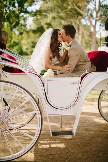 Gallery photo 26 of Grand Carriages