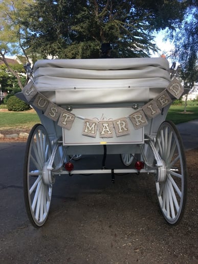 Gallery photo 33 of Grand Carriages