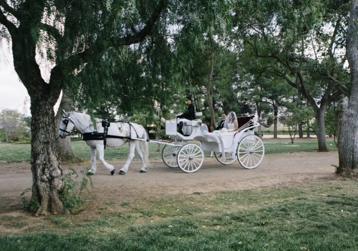 Gallery photo 21 of Grand Carriages