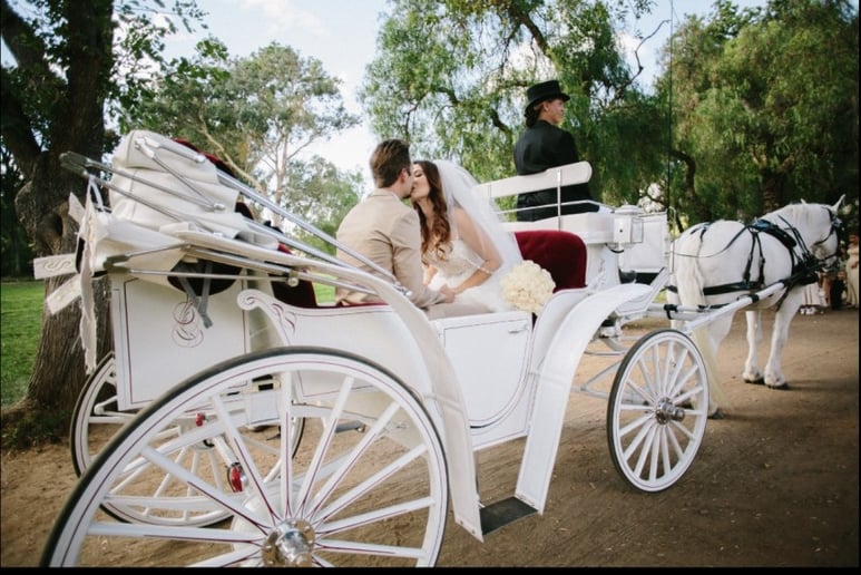 Gallery photo 28 of Grand Carriages