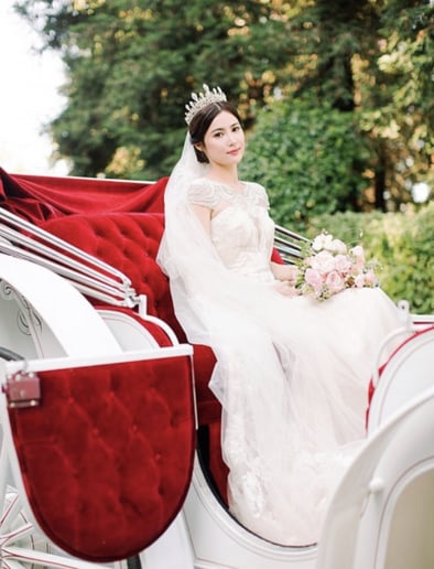Gallery photo 11 of Grand Carriages