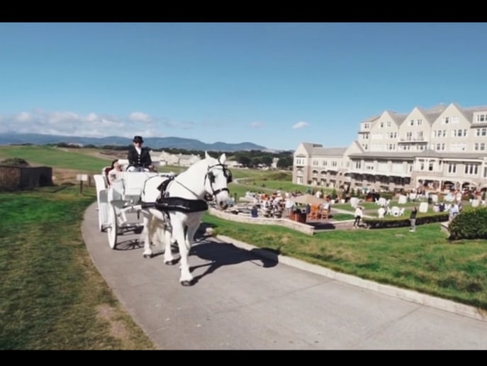 Gallery photo 25 of Grand Carriages