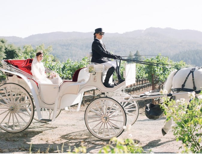 Gallery photo 24 of Grand Carriages