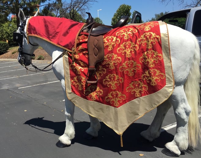 Gallery photo 31 of Grand Carriages