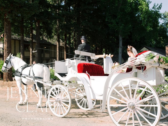 Gallery photo 32 of Grand Carriages