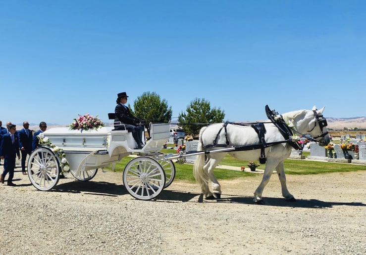 Gallery photo 5 of Grand Carriages