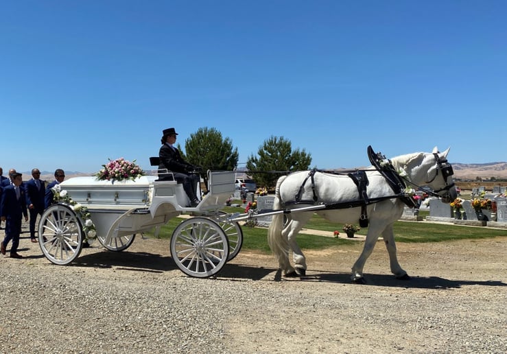 Gallery photo 23 of Grand Carriages