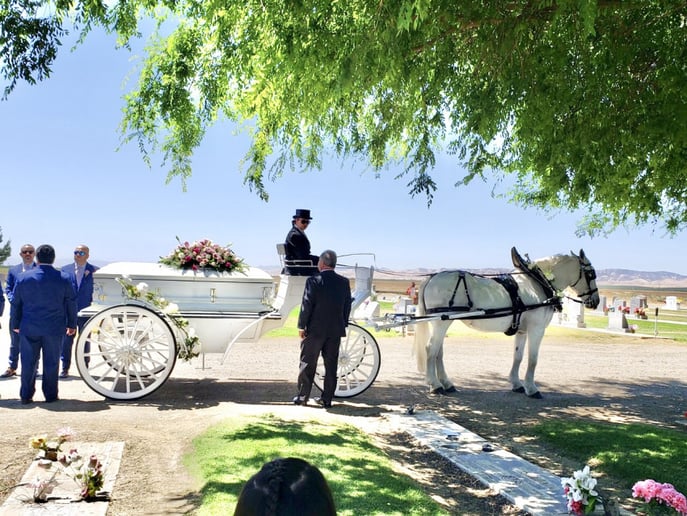 Gallery photo 20 of Grand Carriages