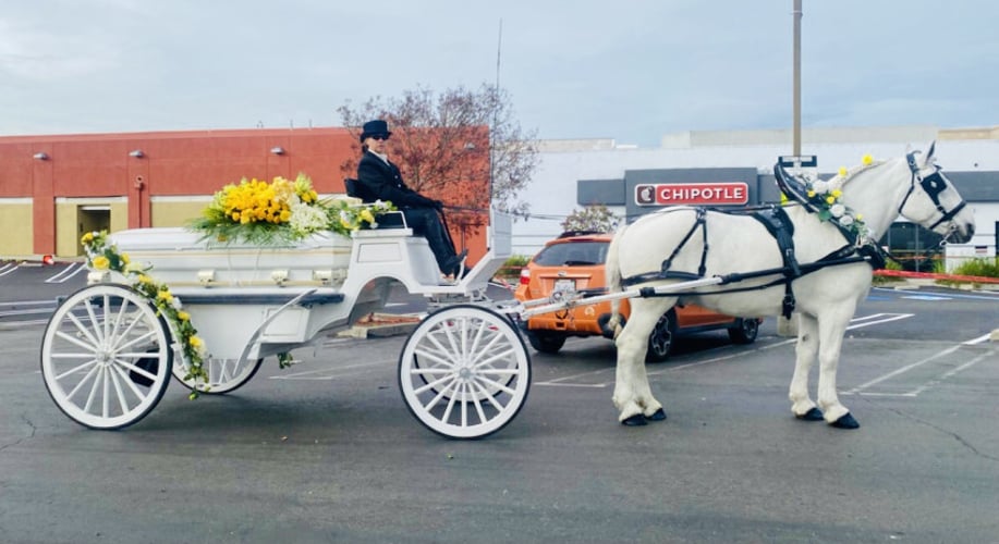 Gallery photo 13 of Grand Carriages
