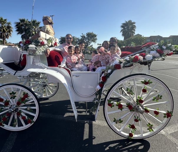 Gallery photo 14 of Grand Carriages