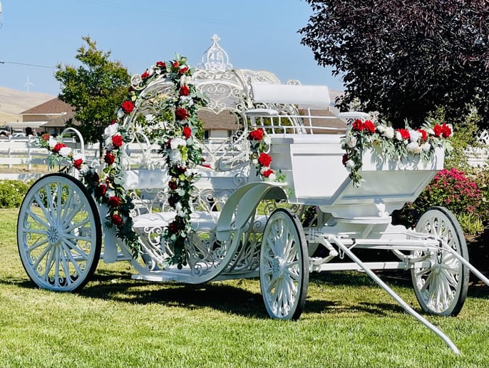 Gallery photo 1 of Grand Carriages