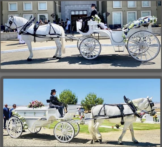 Gallery photo 2 of Grand Carriages