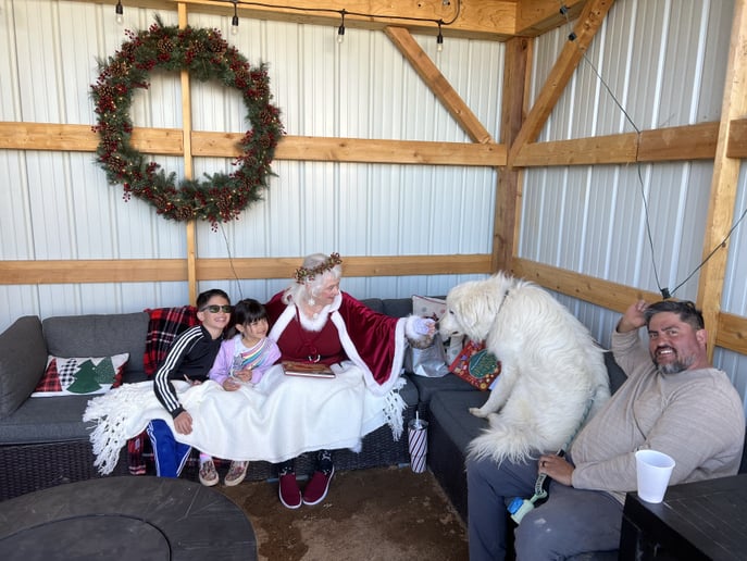 Gallery photo 4 of Grandmother Christmas
