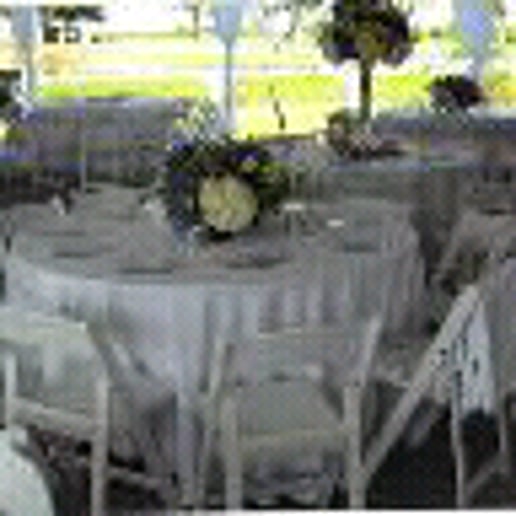 Gallery photo 7 of Graphic Affairs