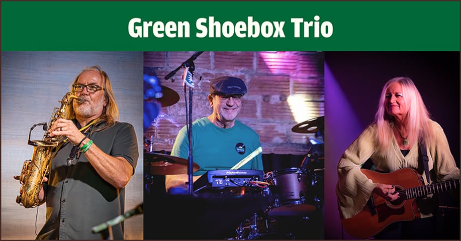 Gallery photo 7 of Green Shoebox Band