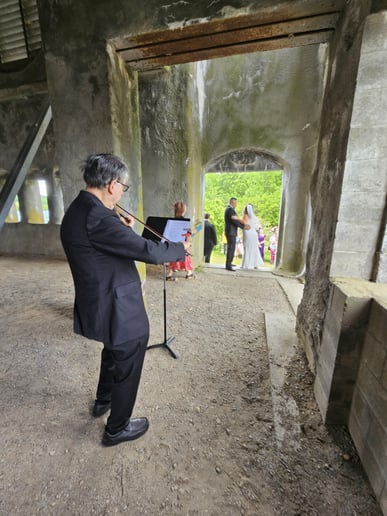 Gallery photo 16 of Gregory Ayriyan - Virtuoso Violinist