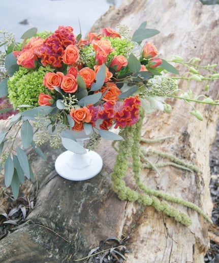 Gallery photo 3 of Greyson Design