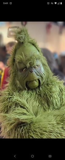 Gallery photo 2 of AG Grinch