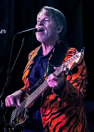 Gallery photo 6 of Groove Kitty