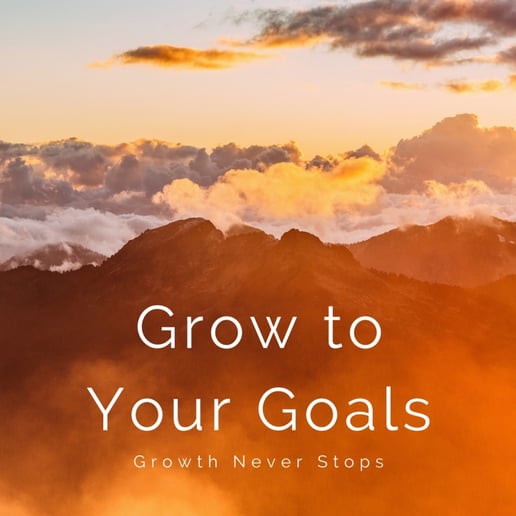 Gallery photo 2 of Grow to Your Goals