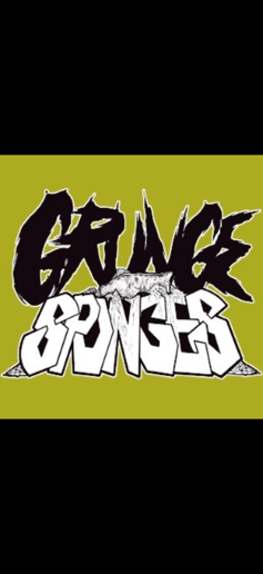 Gallery photo 2 of Grunge Sponges
