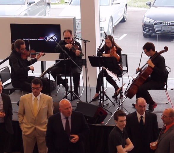 Gallery photo 2 of GTA Strings