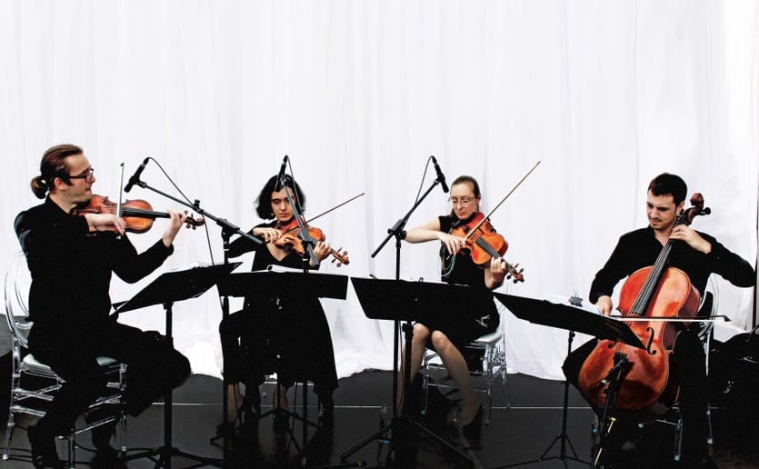 Gallery photo 8 of GTA Strings