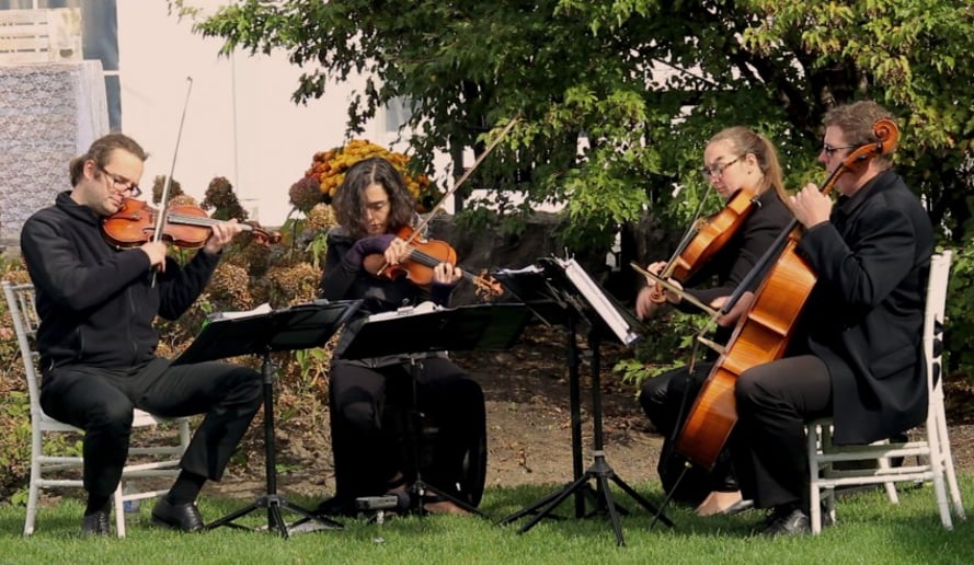 Gallery photo 6 of GTA Strings