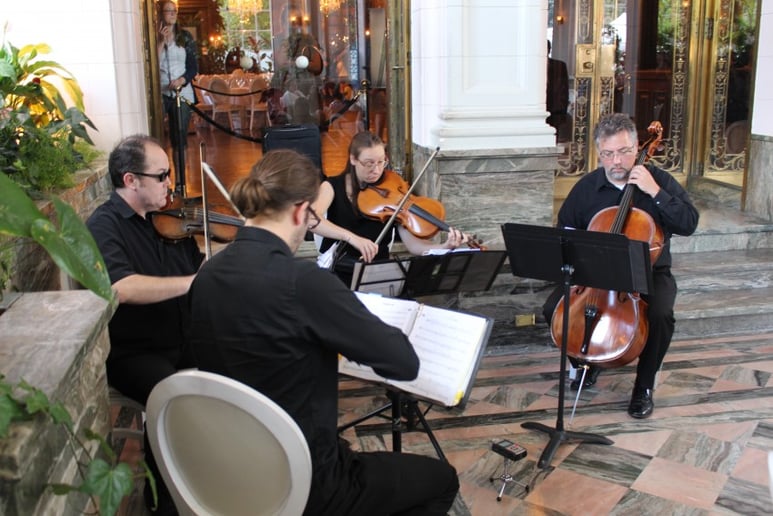 Gallery photo 7 of GTA Strings