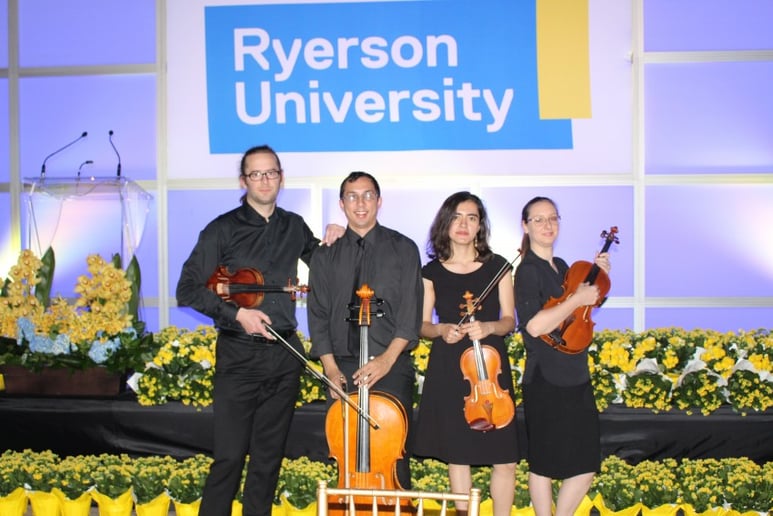 Gallery photo 9 of GTA Strings