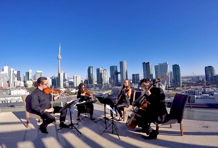 Gallery photo 3 of GTA Strings
