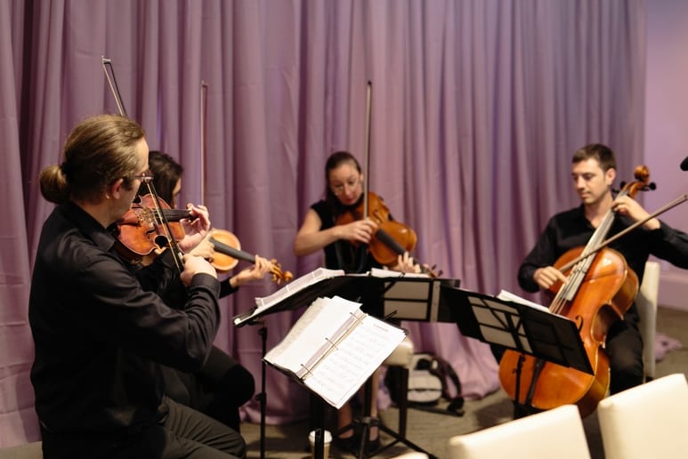 Gallery photo 5 of GTA Strings