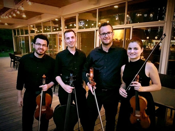 Gallery photo 1 of GTA Strings