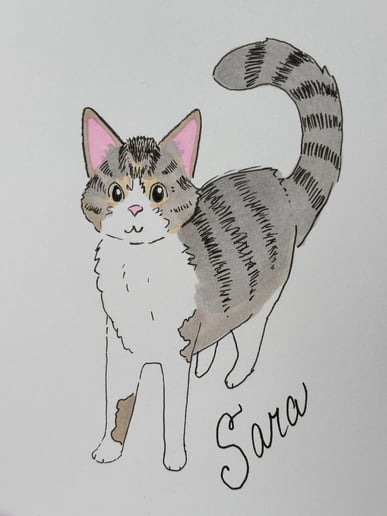Gallery photo 4 of Guest Portrait Illustrations
