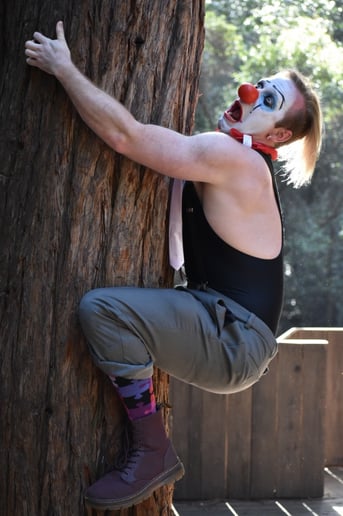 Gallery photo 5 of Kardboard the Clown