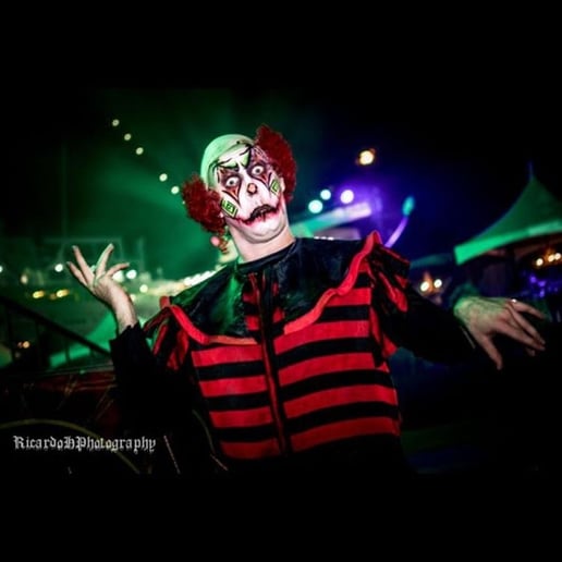 Gallery photo 6 of Kardboard the Clown