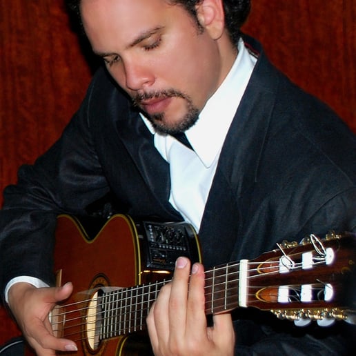 Gallery photo 8 of GuitaRev Duet
