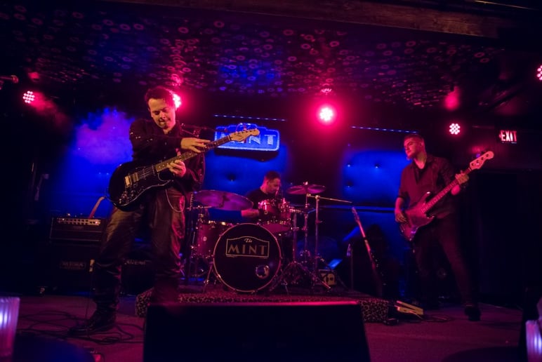 Gallery photo 1 of Let's Celebrate: The Party Band