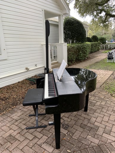 Gallery photo 32 of Gulf Coast Piano Shows