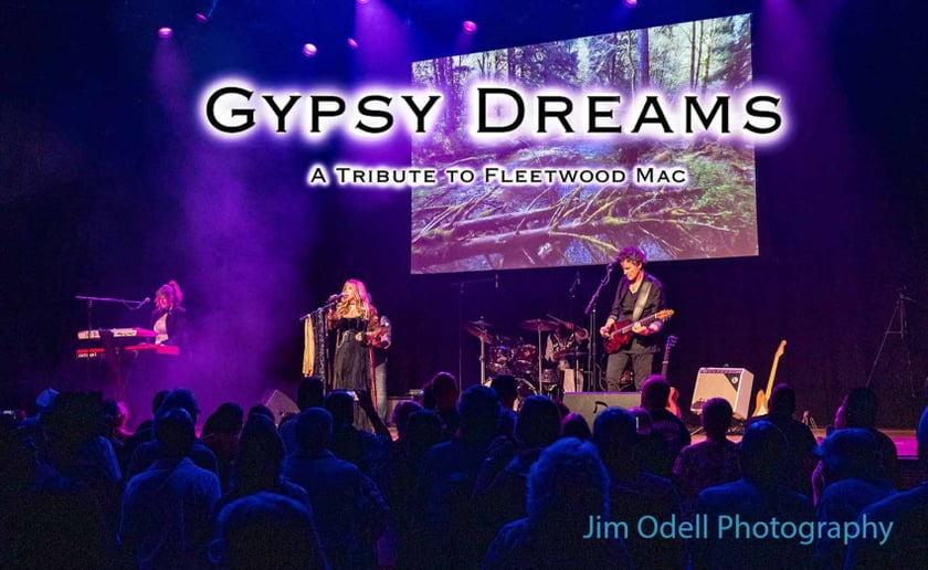 Gallery photo 1 of Stevie Nicks Tribute / Fleetwood Mac Tribute Band