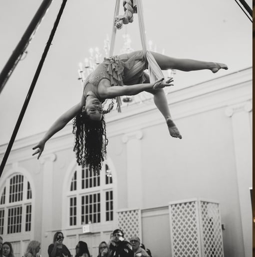 Gallery photo 4 of Elova Entertainment