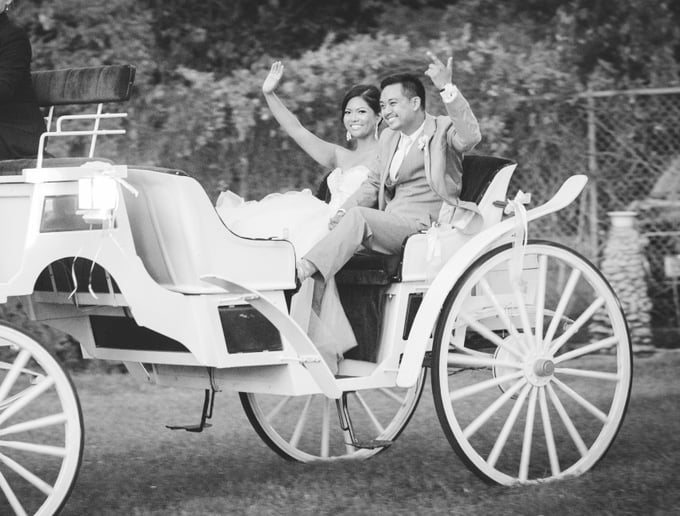 Gallery photo 1 of Hackney Horse & Carriage