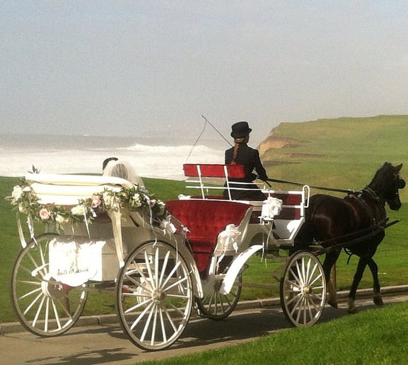 Gallery photo 3 of Hackney Horse & Carriage