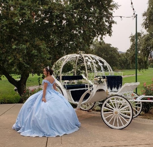 Gallery photo 4 of Hackney Horse & Carriage